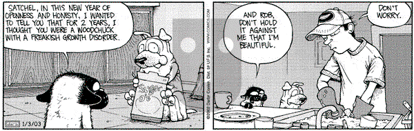 Get Fuzzy on Friday January 3, 2003 Comic Strip