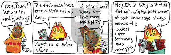 Breaking Cat News - Thursday September 26, 2024 Comic Strip