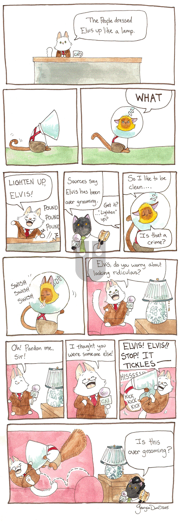 Breaking Cat News on Saturday December 3, 2016 Comic Strip