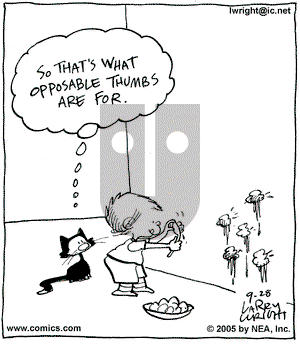 Kit 'N' Carlyle on Thursday September 29, 2005 Comic Strip