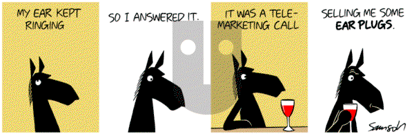 Dark Side of the Horse on Sunday February 5, 2017 Comic Strip