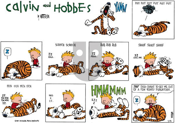Calvin and Hobbes on Sunday December 13, 1987 Comic Strip