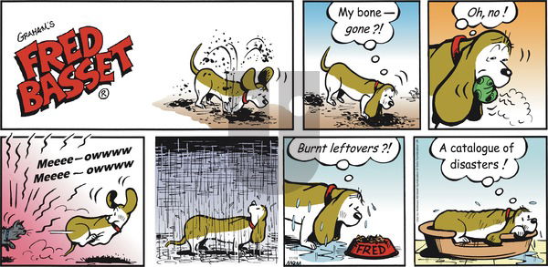 Fred Basset on Sunday November 18, 2018 Comic Strip