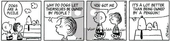 Peanuts on Tuesday May 19, 1981 Comic Strip