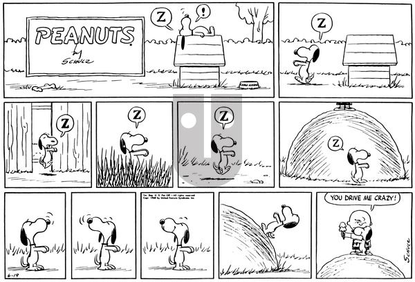 Peanuts on Sunday June 19, 1960 Comic Strip
