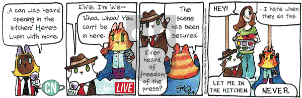 Breaking Cat News on Thursday May 7, 2020 Comic Strip