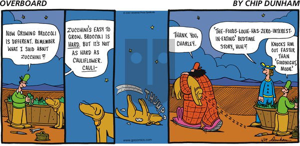 Overboard on Sunday June 24, 2007 Comic Strip