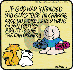 Ziggy on Friday January 8, 2021 Comic Strip