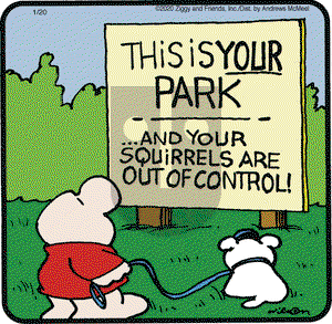 Ziggy on Monday January 20, 2020 Comic Strip