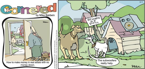 Cornered on Sunday June 11, 2006 Comic Strip