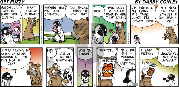 Get Fuzzy on Sunday December 16, 2012 Comic Strip