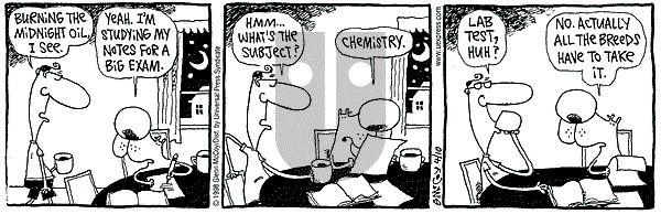 The Duplex on Friday April 10, 1998 Comic Strip