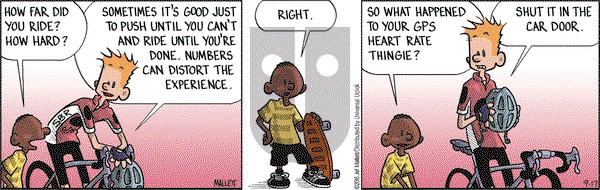 Frazz on Saturday September 17, 2016 Comic Strip