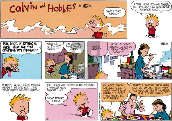 Calvin and Hobbes on Sunday June 1, 1986 Comic Strip