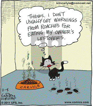 Kit 'N' Carlyle on Tuesday February 8, 2011 Comic Strip