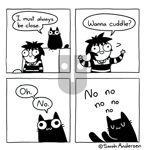 Sarah's Scribbles on Saturday November 9, 2024 Comic Strip