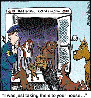Marmaduke on Wednesday August 15, 2018 Comic Strip