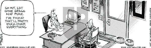 Non Sequitur on Tuesday December 26, 2000 Comic Strip