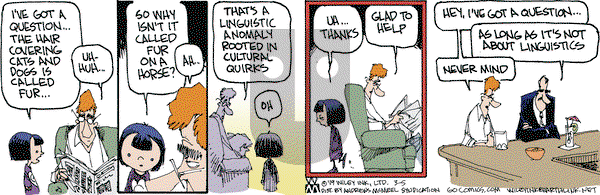 Non Sequitur on Tuesday March 5, 2019 Comic Strip