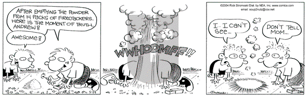 Soup to Nutz - Old on Saturday May 29, 2004 Comic Strip