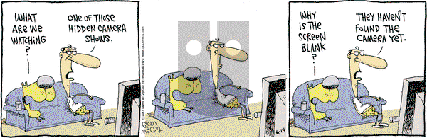 The Duplex on Friday June 14, 2013 Comic Strip