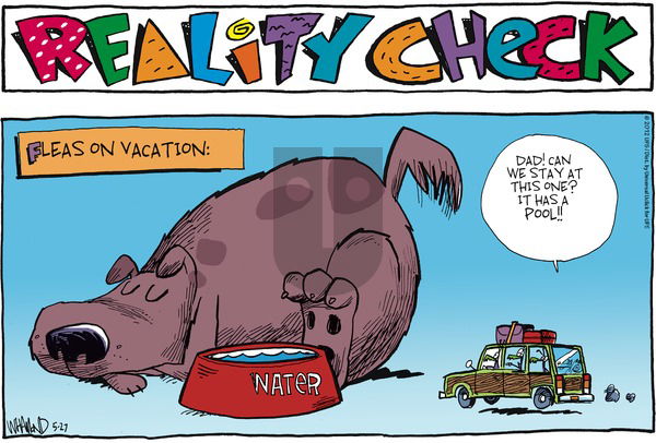 Reality Check on Sunday May 27, 2012 Comic Strip