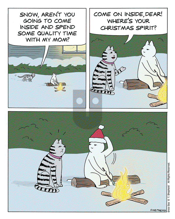Snow Sez on Friday December 13, 2024 Comic Strip