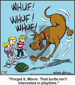 Marmaduke on Wednesday June 25, 2014 Comic Strip