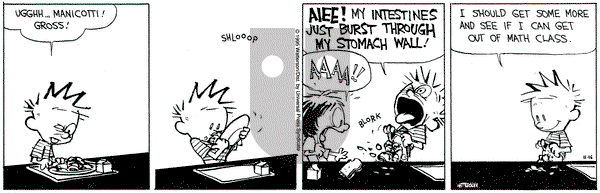 Calvin and Hobbes on Thursday November 16, 1995 Comic Strip
