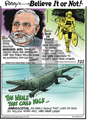 Ripley's Believe It or Not on Tuesday July 22, 2014 Comic Strip