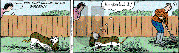 Fred Basset on Monday November 5, 2012 Comic Strip