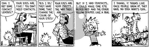 Calvin and Hobbes - Wednesday July 31, 2024 Comic Strip