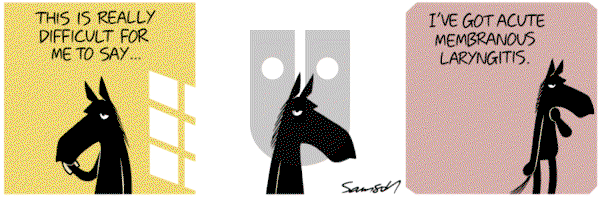 Dark Side of the Horse on Sunday May 5, 2013 Comic Strip