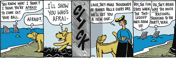 Overboard on Monday June 23, 2014 Comic Strip