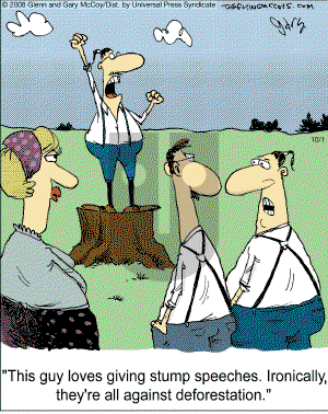 The Flying McCoys on Wednesday October 1, 2008 Comic Strip
