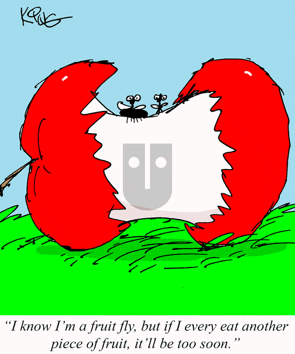 Jerry King Comics on Tuesday May 20, 2025 Comic Strip