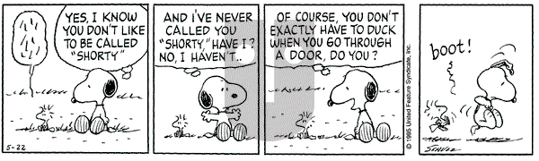 Peanuts on Monday May 22, 1995 Comic Strip