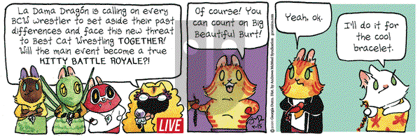 Breaking Cat News on Wednesday April 15, 2020 Comic Strip