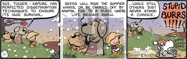 DeFlocked on Saturday July 25, 2009 Comic Strip