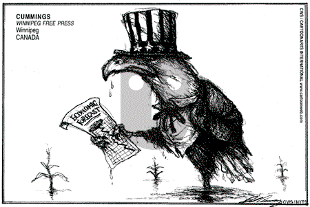 ViewsBusiness on Sunday June 29, 2008 Comic Strip