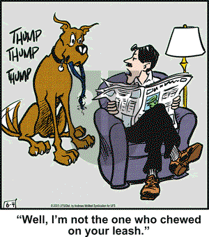 Marmaduke on Wednesday June 4, 2025 Comic Strip