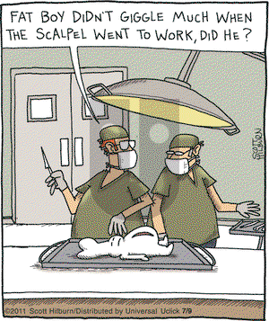 The Argyle Sweater on Saturday July 9, 2011 Comic Strip