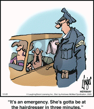 Herman on Monday December 22, 2025 Comic Strip