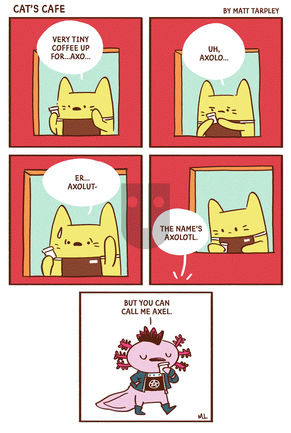 Cat's Cafe - Saturday July 20, 2019 Comic Strip