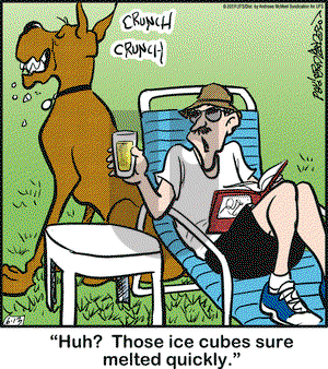 Marmaduke on Thursday June 13, 2019 Comic Strip