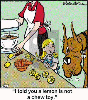 Marmaduke on Monday August 1, 2016 Comic Strip