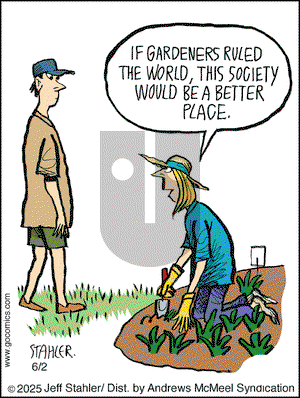 Moderately Confused on Monday June 2, 2025 Comic Strip