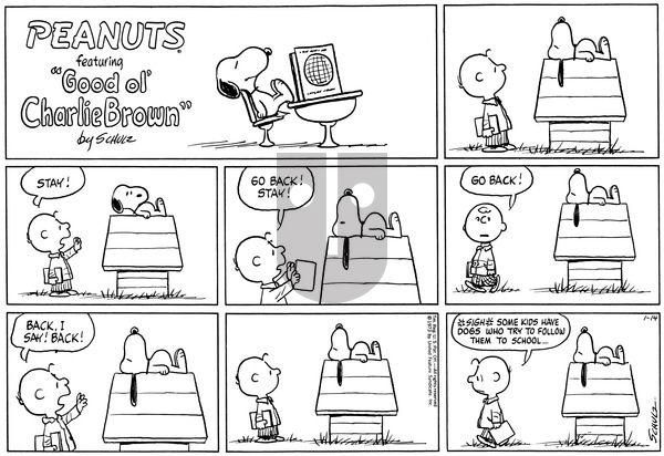Peanuts on Sunday January 14, 1973 Comic Strip