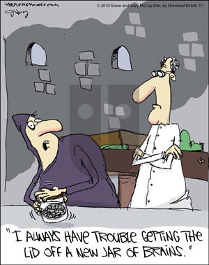 The Flying McCoys on Monday August 1, 2011 Comic Strip