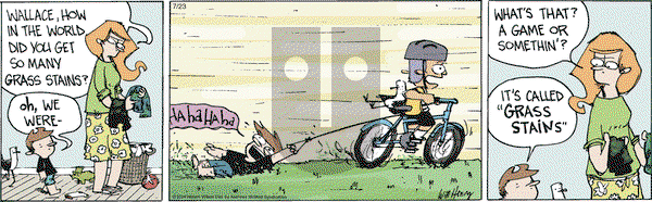 Wallace the Brave - Tuesday July 23, 2024 Comic Strip